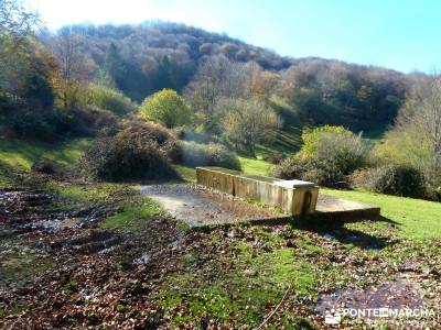 Parques Naturales Urbasa-Andía y Aralar - Nacedero del Urederra; viajes y excursiones